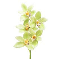 Floristik Be Orchid E Cymbidium Artificielle Fleurs Verte Cm