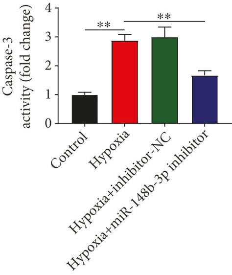 Silencing Of MiR 148b 3p Promotes The Viability And Represses The