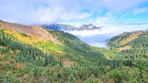 Olympic Lake Crescent Hiking Trails Guide