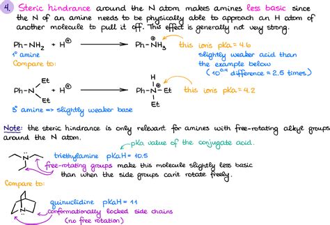 Basicity Of Amines