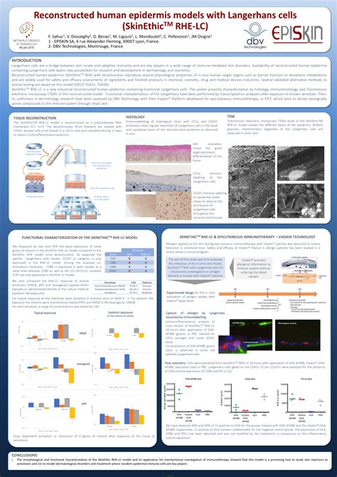 PDF Reconstructed Human Epidermis Models With Langerhans Cells