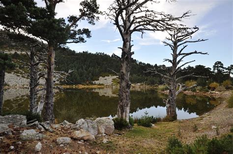 Neila Burgos Parque Natural De Las Lagunas Glaciares De Flickr