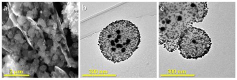 Polymers Free Full Text Molecular Dynamics Simulations Of