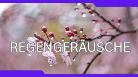 Regengeräusche zum entspannen einschlafen und träumen 16 YouTube