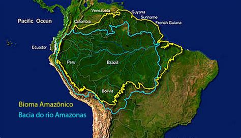 Quantos Km Tem O Rio Amazonas - Mapa Do Rio Bacia Amazonica Bacia Amazônica: Rios, Características E