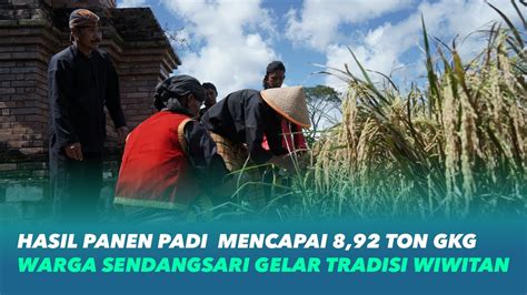 Hasil Panen Lampaui Rata Rata Kabupaten Warga Sendangsari Gelar