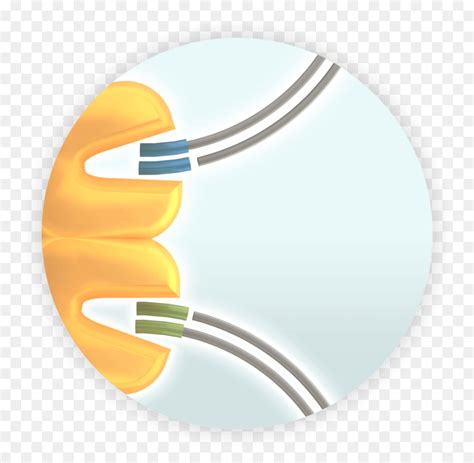 Illumina Illumina Tintura De Seqüenciamento Seqüenciador De Dna png