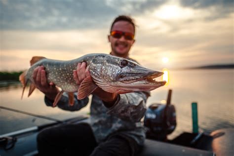 10 Best Pike Lures For 2024 Fishmasters