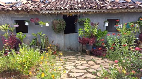 Mostrando Meu Jardim E Dando Limpeza Nas Plantas Youtube