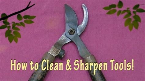 How To Clean And Sharpen Loppers And Pruning Shears HeyMaaaHey HowTo