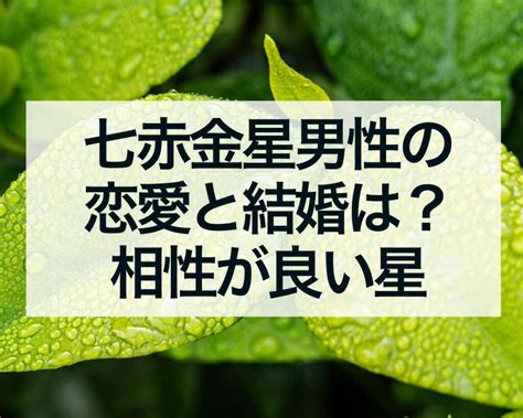 七赤金星男性の恋愛と結婚は？相性が良い星 占いおまじないスピリチュアル