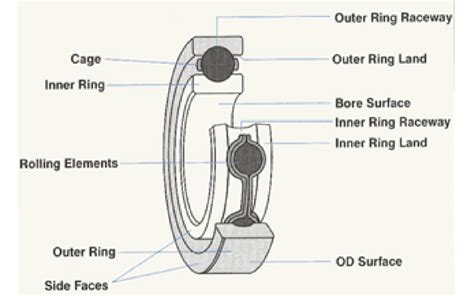 What You Need To Know About Pump Bearing Housings Empowering Pumps