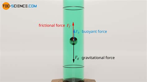 Viscosity Experiment