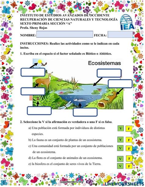 Actividad De Ecosistemas Para 6o Actividades De Los Ecosistemas