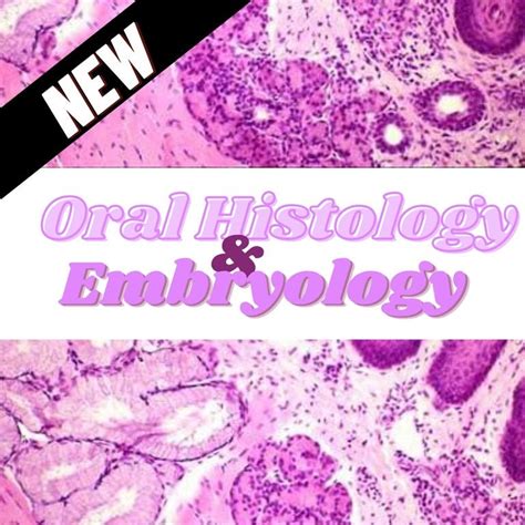 Oral Histology And Embryology Note Set Etsy