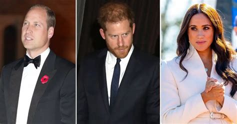 Prince Harry Accuses Brother William Of Physically Attacking Him During 2019 Fight Over Meghan