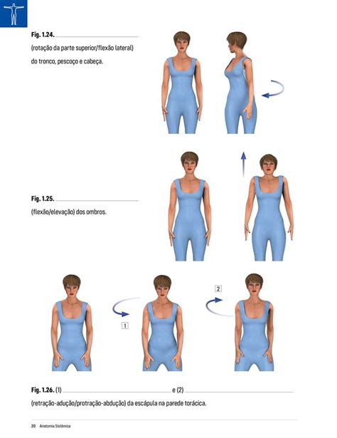 Livro Anatomia Sist Mica Facilitada Em Forma De Exerc Cios Cole O