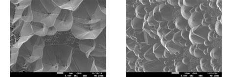 Plan View Sem Image Of The Hvpe Gan Layer On Ga O Single Crystal