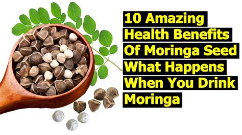 10 Amazing Health Benefits Of Moringa Seed What Happens When You