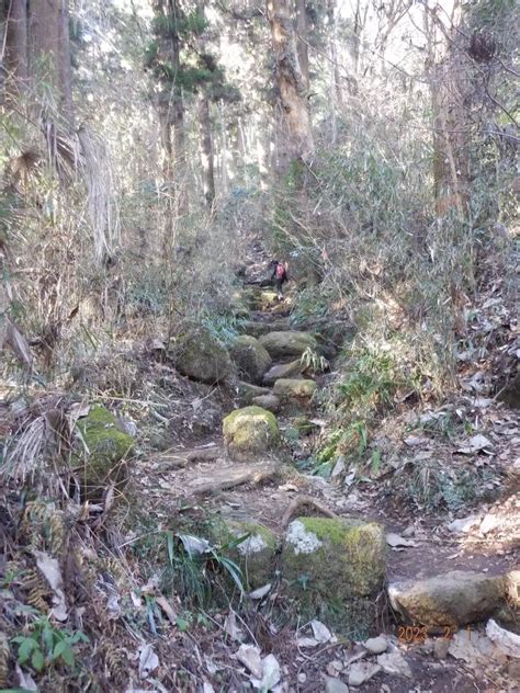 石老山・東雲山・大明神大明神山 ののさんの石老山・ 石砂山の活動データ Yamap ヤマップ