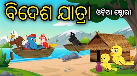 ବଦଶ ଯତର Tiki Chadhei Odia Gapa Odia Bird Story Chadhei gappa