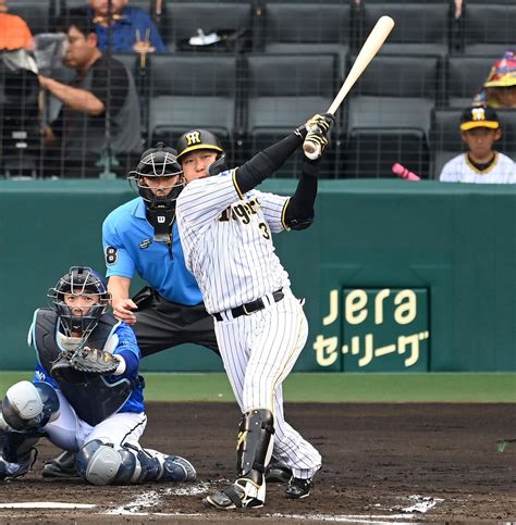 阪神 大山悠輔が先制の4号ソロ！1軍復帰後待望のアーチに甲子園が騒然 前日には直球を打ってのマルチ安打 ライブドアニュース