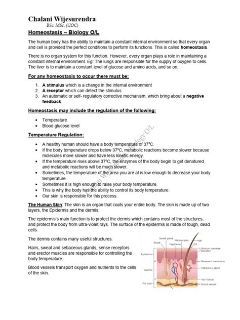 Homeostasis Biology Notes Pdf Skin Homeostasis