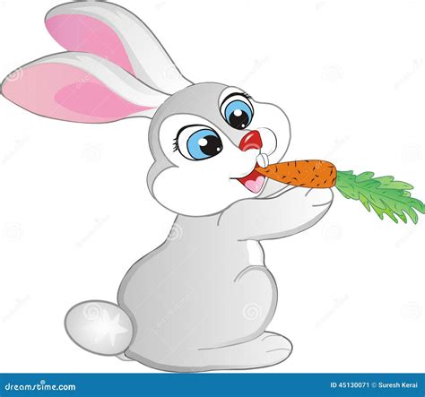 Rabbit Eating Carrot Cartoon Images