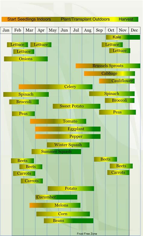 Printable Zone 8 Planting Guide