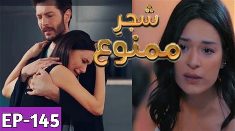 Shajar E Mamnu Episode Promo Turkish Drama Forbidden Fruit