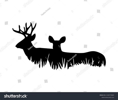 Deer Doe Mammals Wild Animals Wildlife Stock Vector (Royalty Free ...