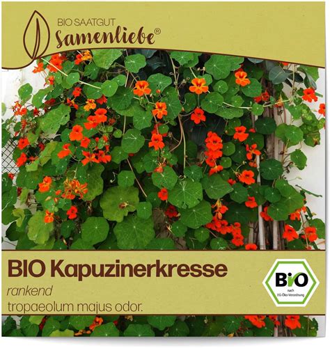 Samenliebe Bio Kapuzinerkresse Samen Alte Sorte Rankend Samen