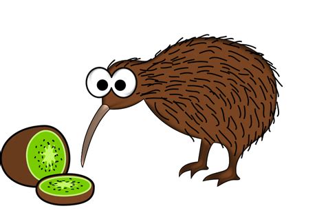 Cartoon kiwi bird with kiwi fruit - Openclipart