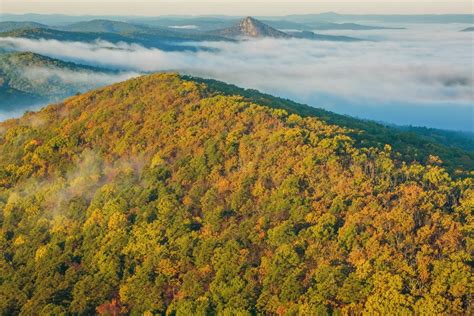 Ouachita National Forest