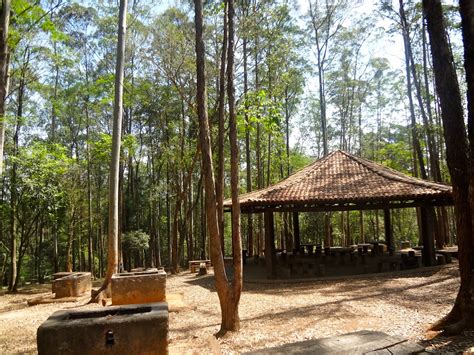 Parque Anhanguera Em S O Paulo Reas Verdes Das Cidades Guia De Parques