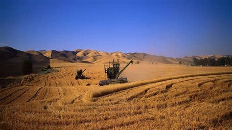 Harvest Wallpapers - Top Free Harvest Backgrounds - WallpaperAccess