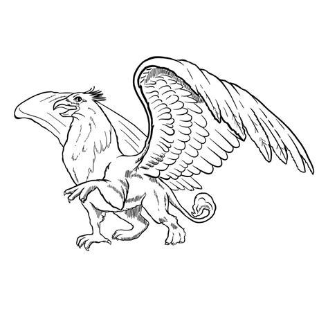 Simple Gryphon Drawings