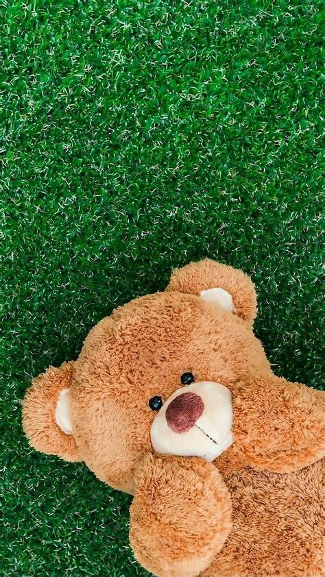 Happy Teddy Bear Grass Teddy Grass Teddy Bear HD Phone Wallpaper