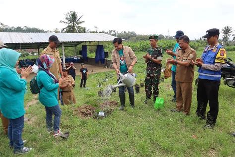 Atasi Krisis Global Tugu Tirta Tanam Pohon Di Area BTS