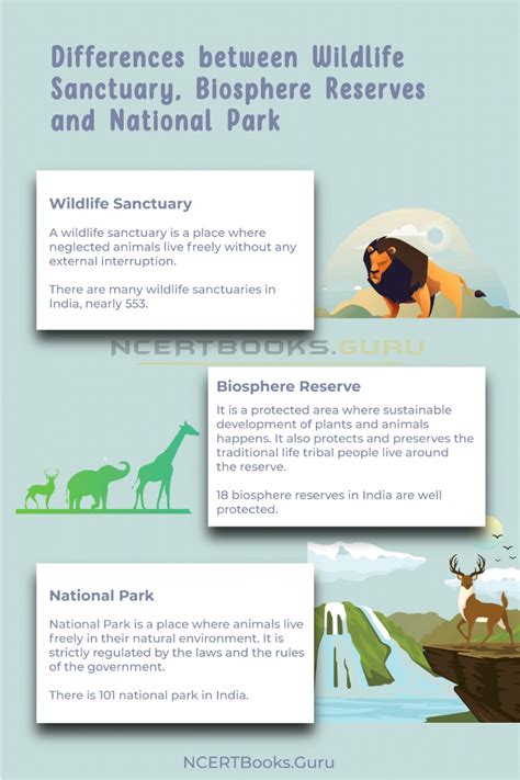 Differences Between Wildlife Sanctuary Biosphere Reserves And National