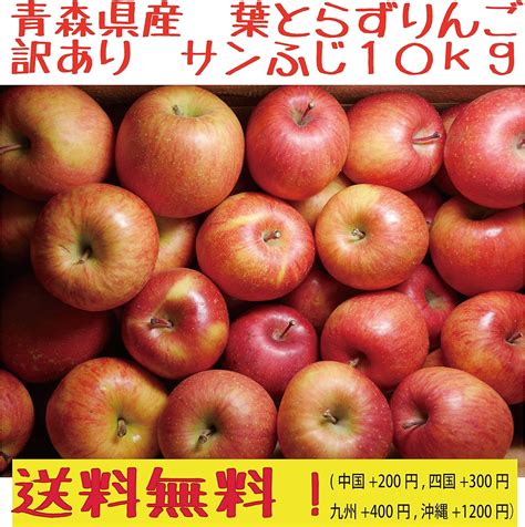 Jp 青森県産 訳あり 葉とらずりんご サンふじ10kg 食品・飲料・お酒