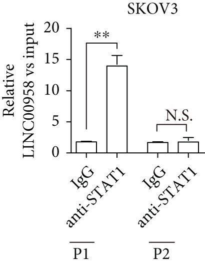 Stat Is Bound To The Promoter Region Of Linc And Activated Its