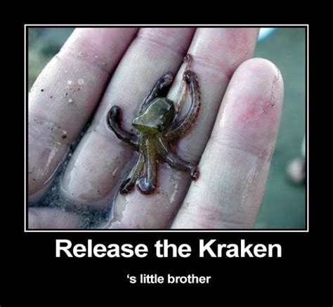 Funny Kraken Pictures