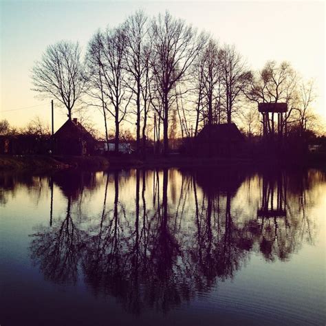 Premium Photo Reflection Of Bare Tree On Calm Lake