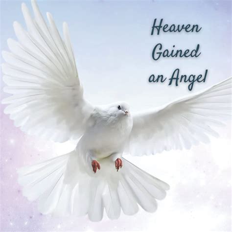 Heaven Gained An Angel Funeral Guest Book Dove Picture For Memorial Services And Condolence