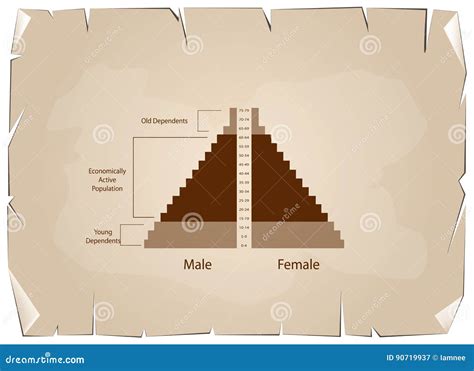 Detail Of Population Pyramids Graphs Depend On Age Stock Vector Illustration Of Information