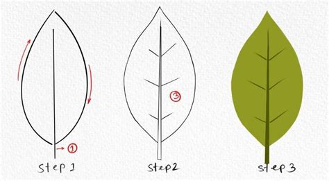 How To Draw Leaves Easy Step By Step Tutorial Choose Marker