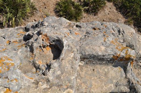 Prehistoria Del Sur Peña Sacra De Ranchiles