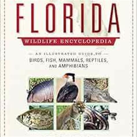 Stream GET EPUB KINDLE PDF EBOOK Florida Wildlife Encyclopedia An