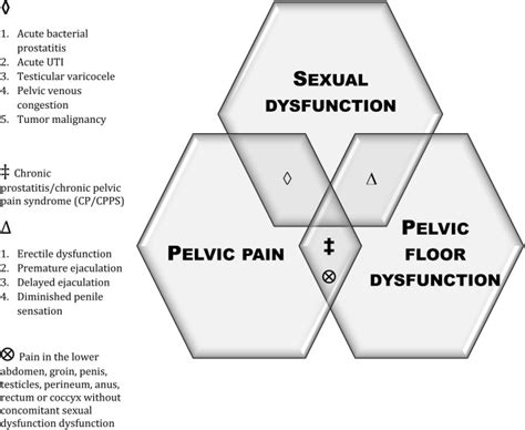 How To Massage Your Pelvic Floor Muscles Males